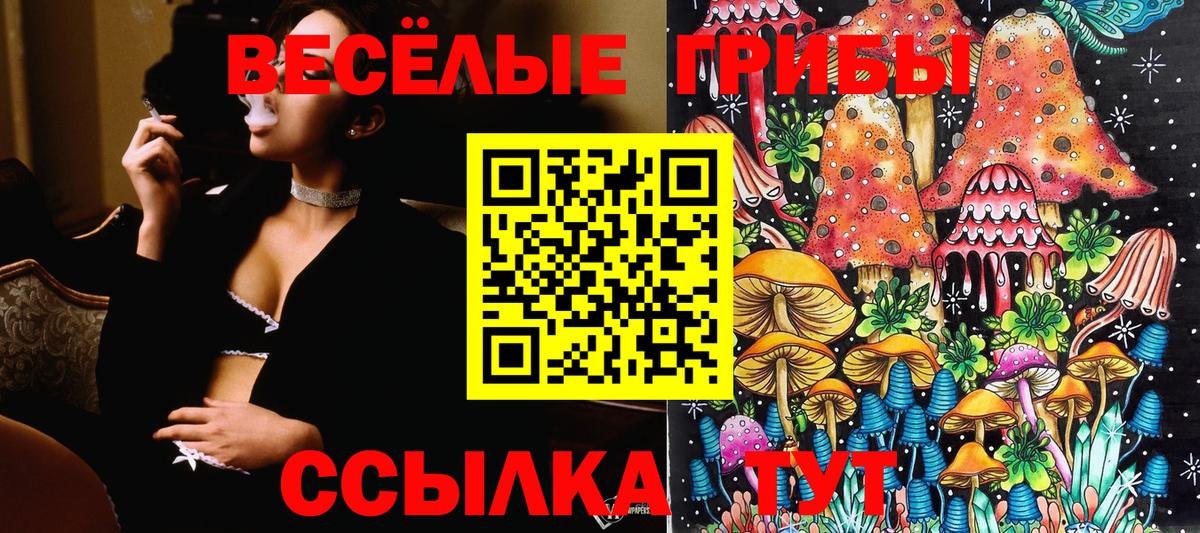 Галлюциногенные грибы Psilocybe  Галлюциногенные грибы мухоморы  Вход с VPN  Троицк 
