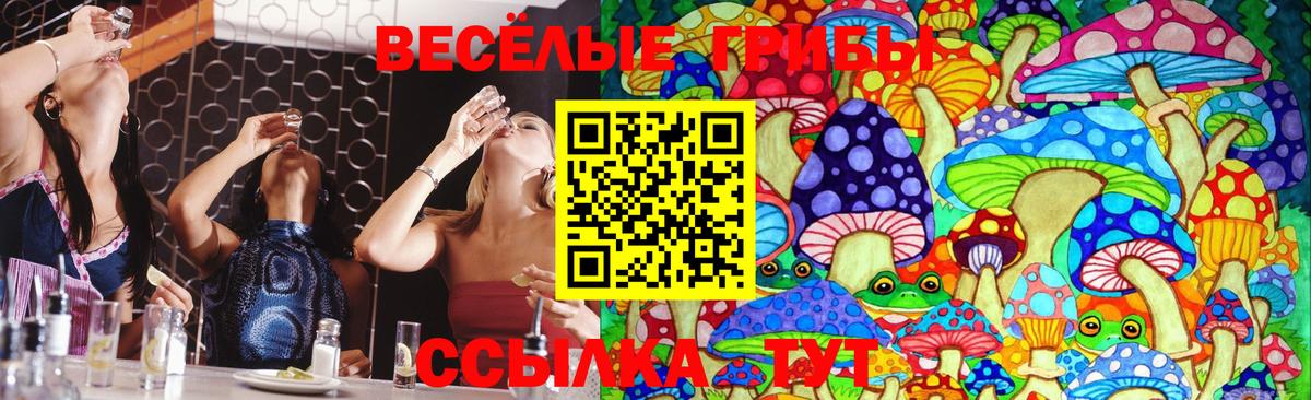 Галлюциногенные грибы Psilocybe Троицк